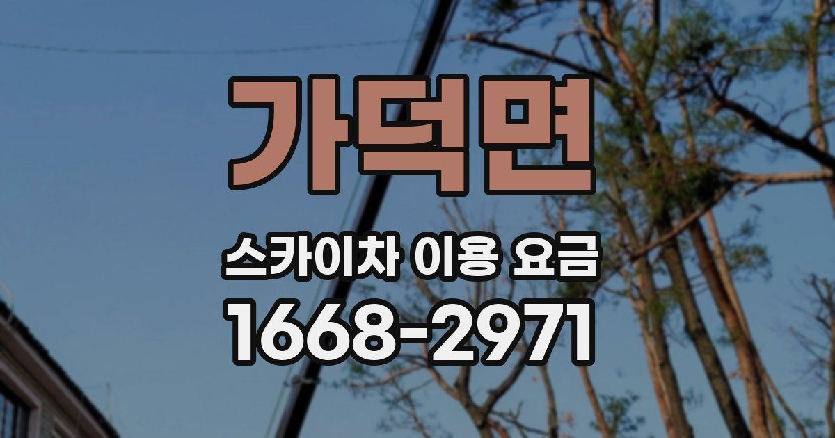 가덕면 스카이차 이용 요금