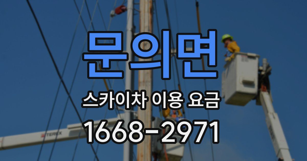 문의면 스카이차 이용 요금