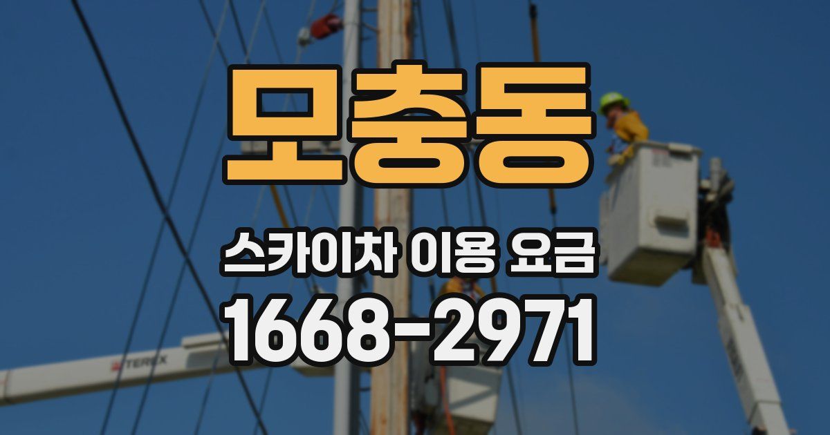 모충동 스카이차 이용 요금
