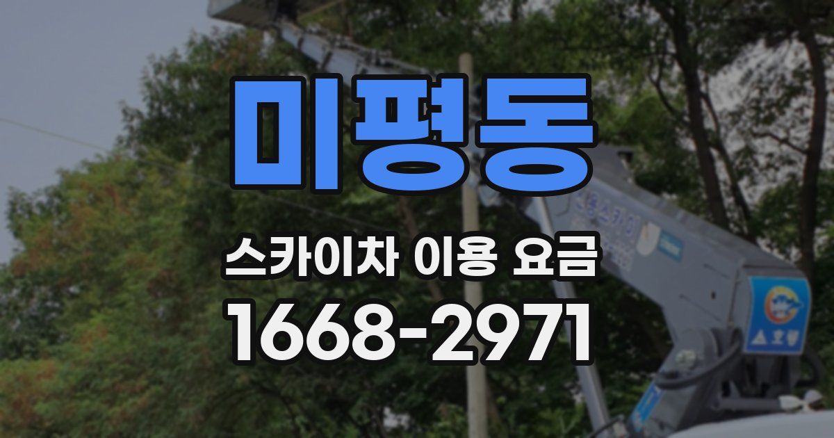 미평동 스카이차 이용 요금