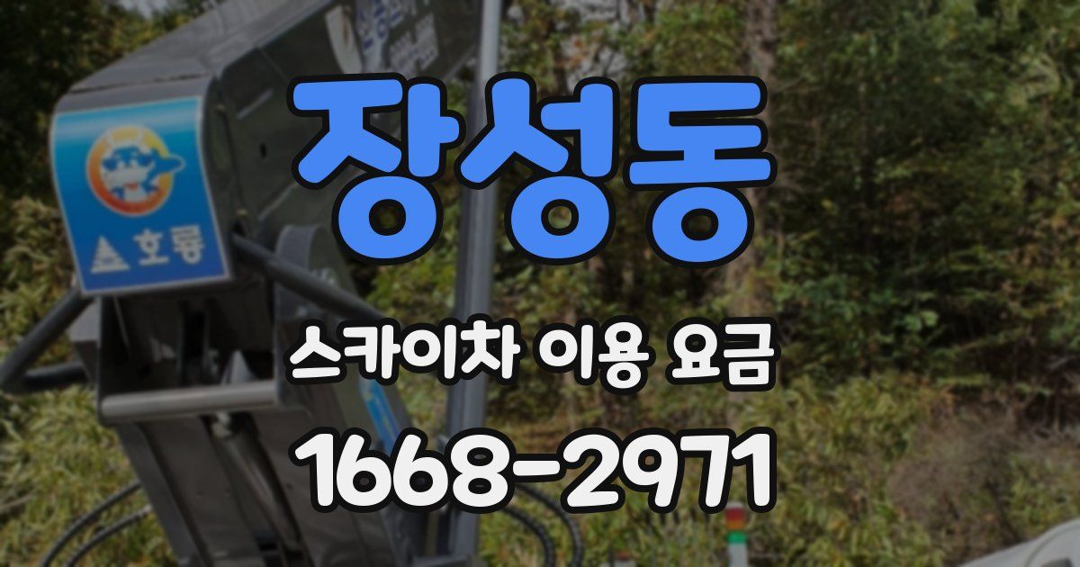 장성동 스카이차 이용 요금