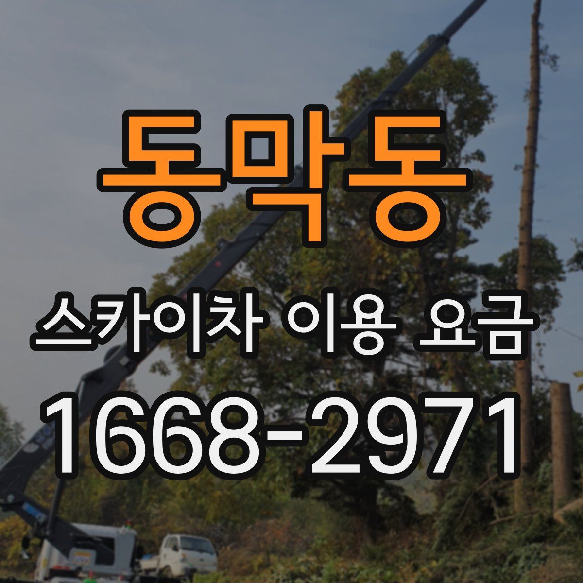 동막동 스카이차 이용 요금