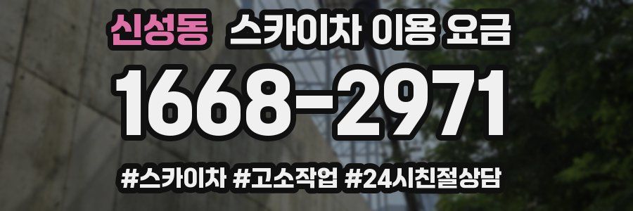 신성동 스카이차 이용 요금
