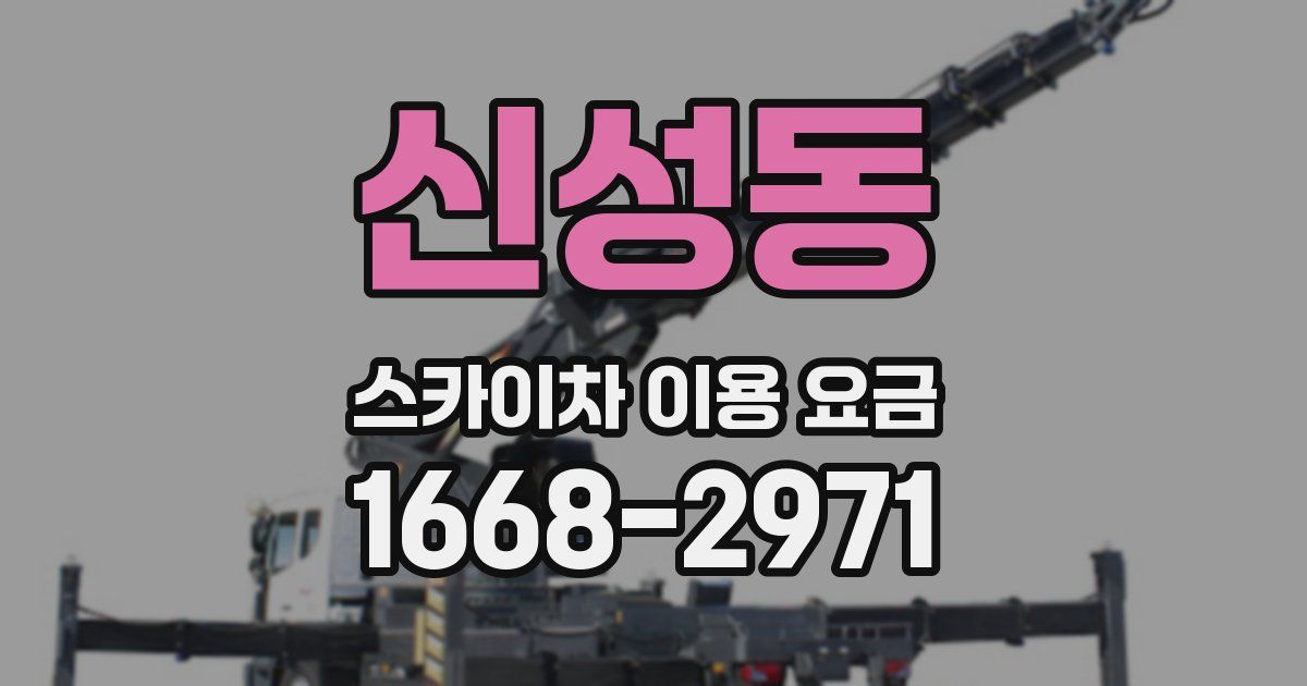 신성동 스카이차 이용 요금