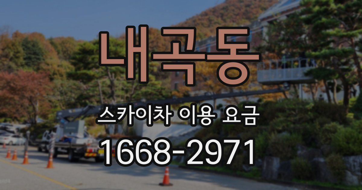 내곡동 스카이차 이용 요금