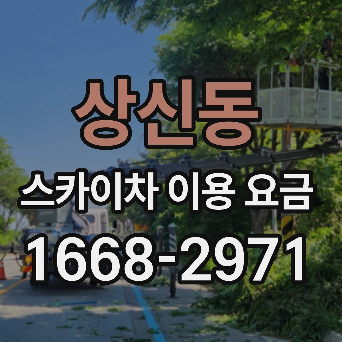 상신동 스카이차 이용 요금