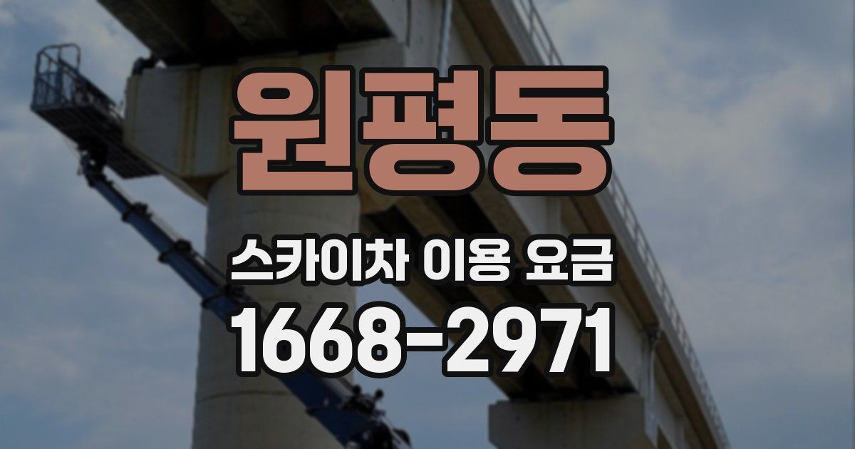 원평동 스카이차 이용 요금