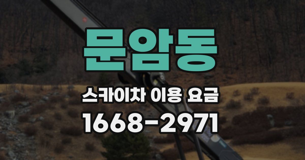 문암동 스카이차 이용 요금