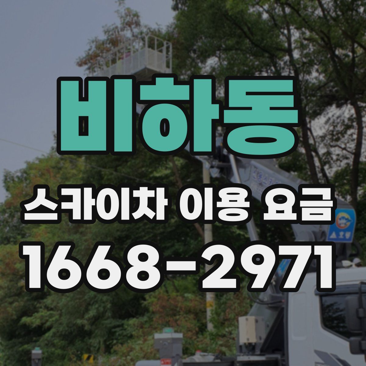 비하동 스카이차 이용 요금