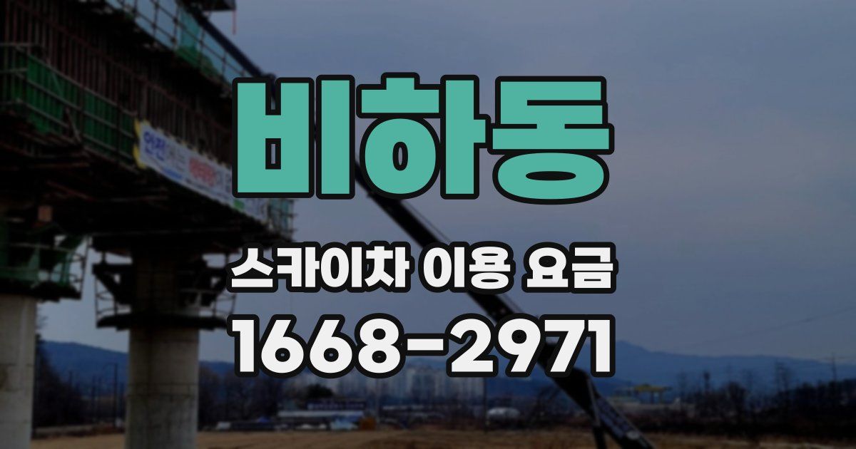 비하동 스카이차 이용 요금
