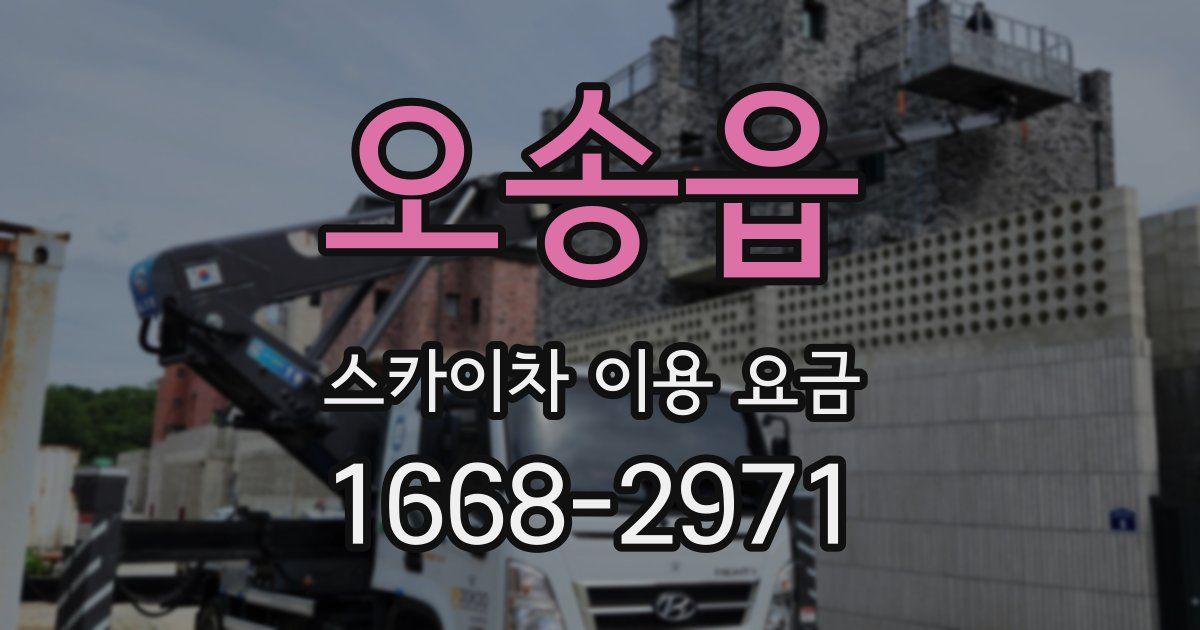 오송읍 스카이차 이용 요금