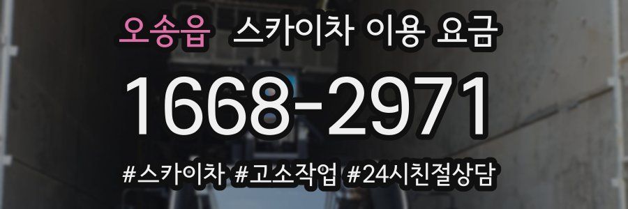 오송읍 스카이차 이용 요금
