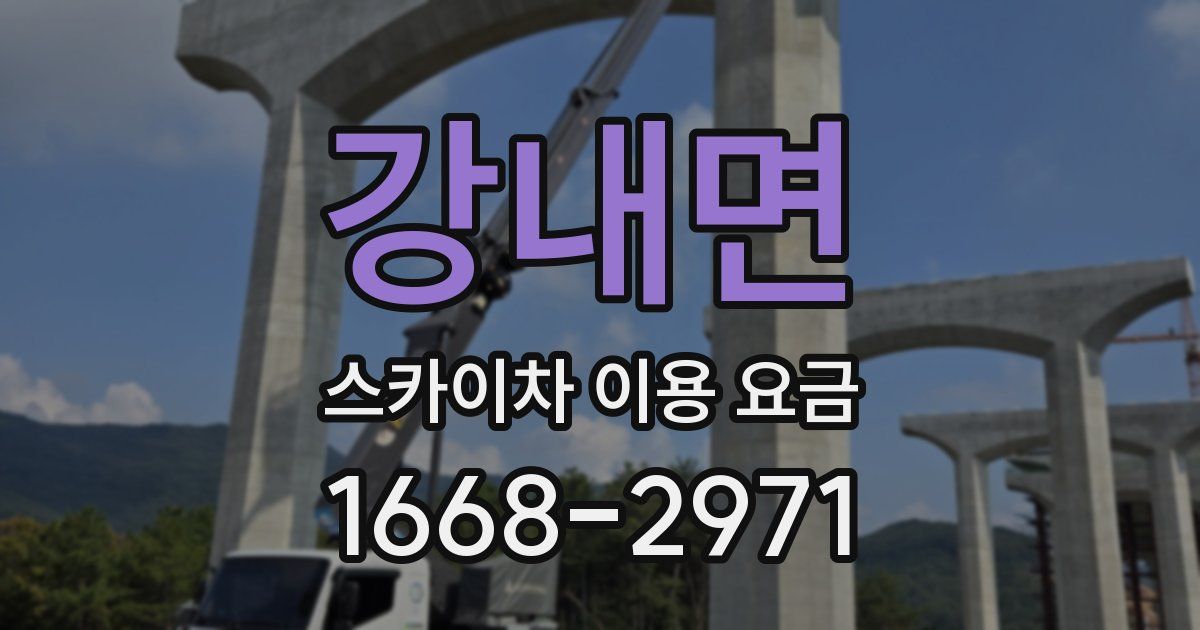 강내면 스카이차 이용 요금