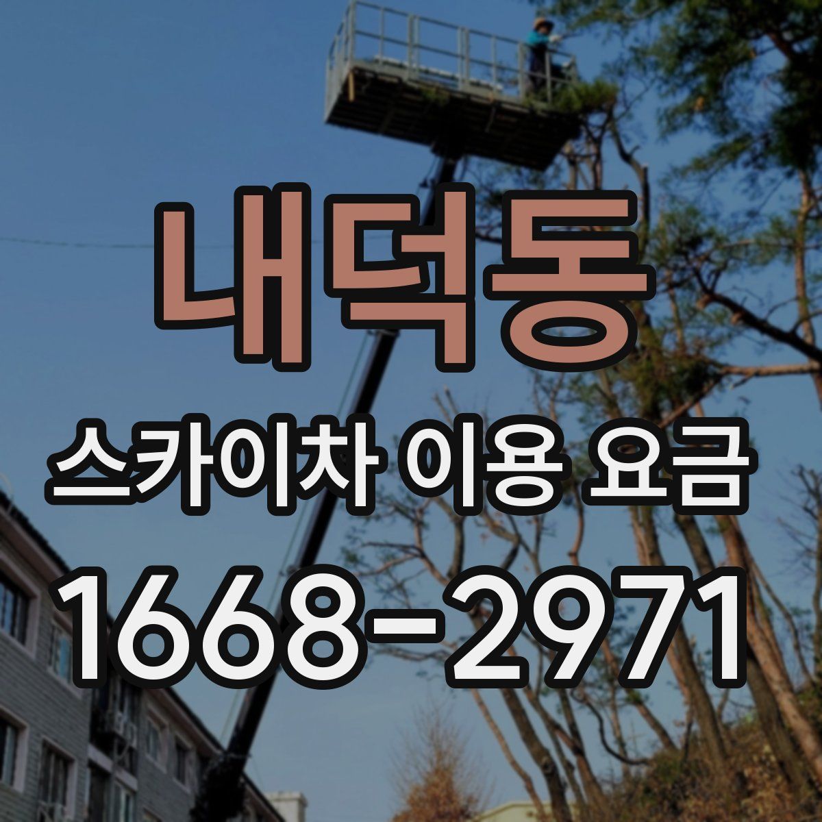 내덕동 스카이차 이용 요금