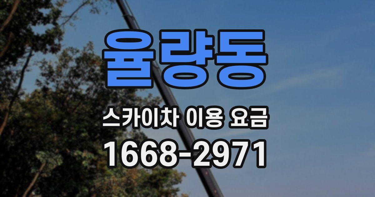 율량동 스카이차 이용 요금