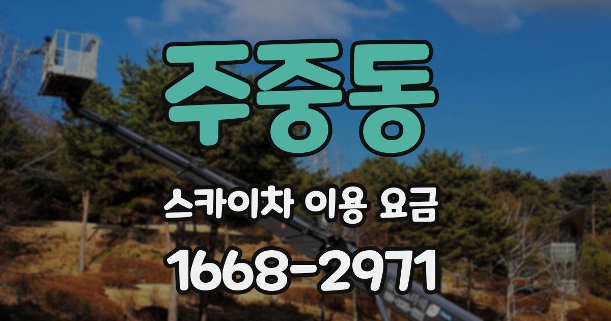 주중동 스카이차 이용 요금