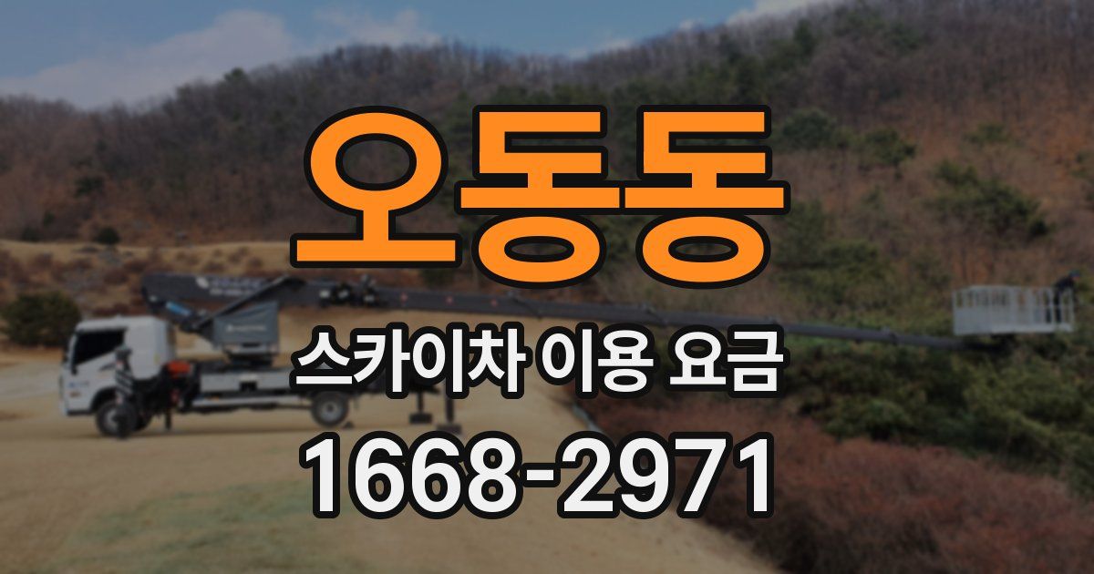 오동동 스카이차 이용 요금