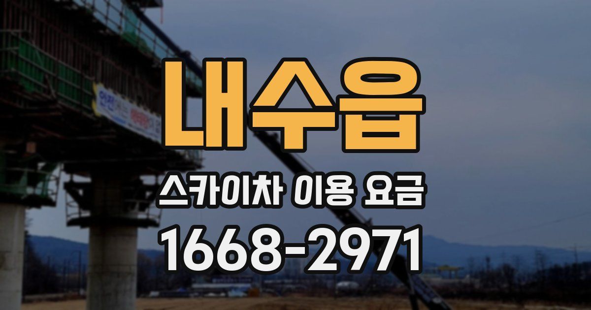 내수읍 스카이차 이용 요금