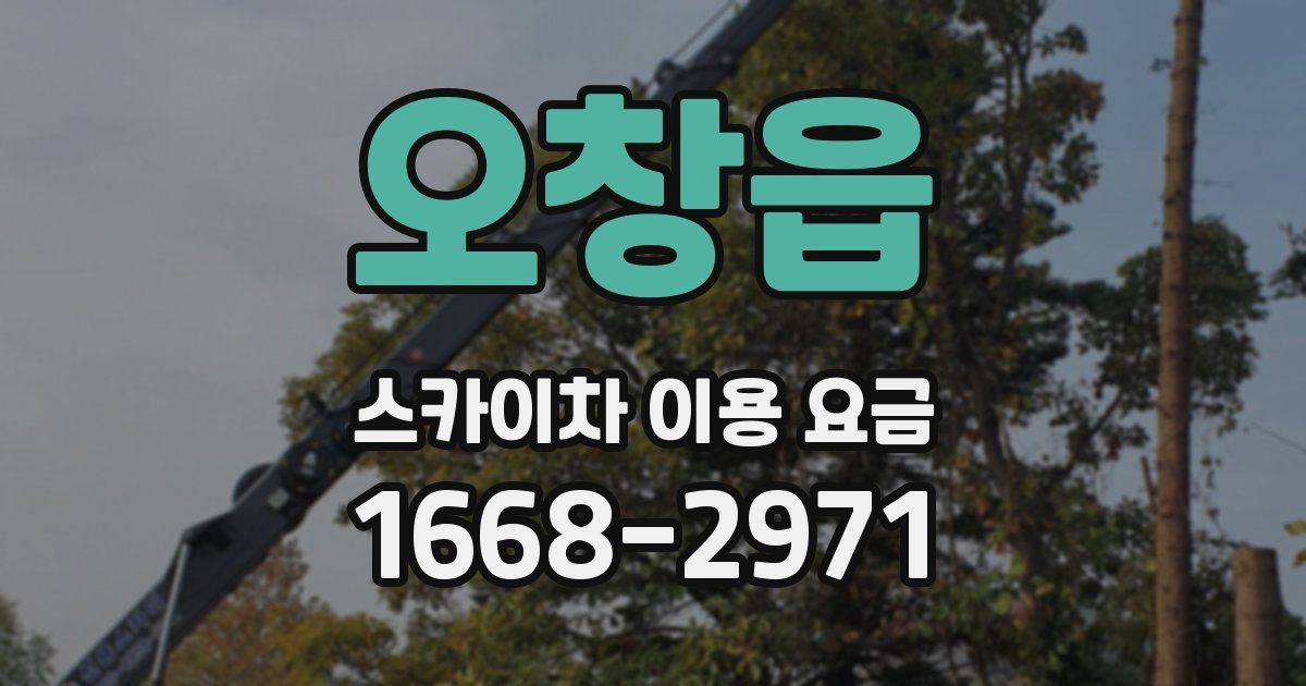 오창읍 스카이차 이용 요금