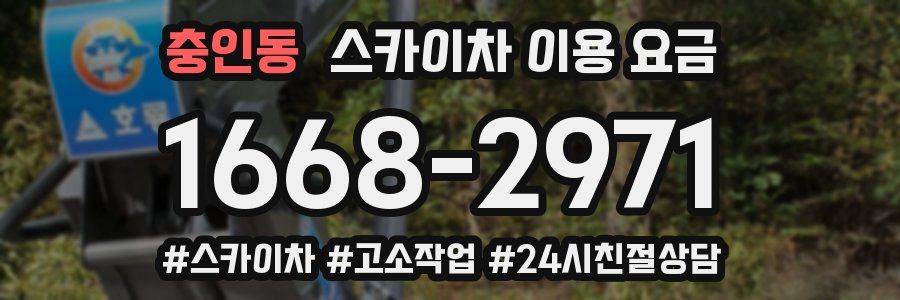 충인동 스카이차 이용 요금