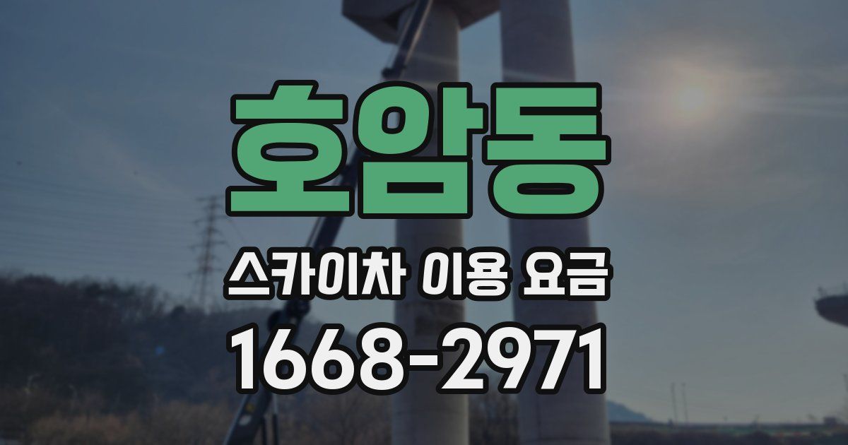 호암동 스카이차 이용 요금