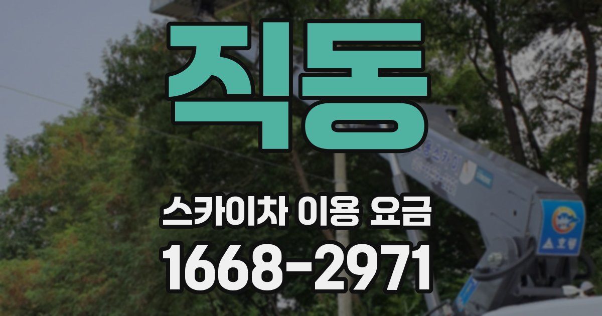 직동 스카이차 이용 요금