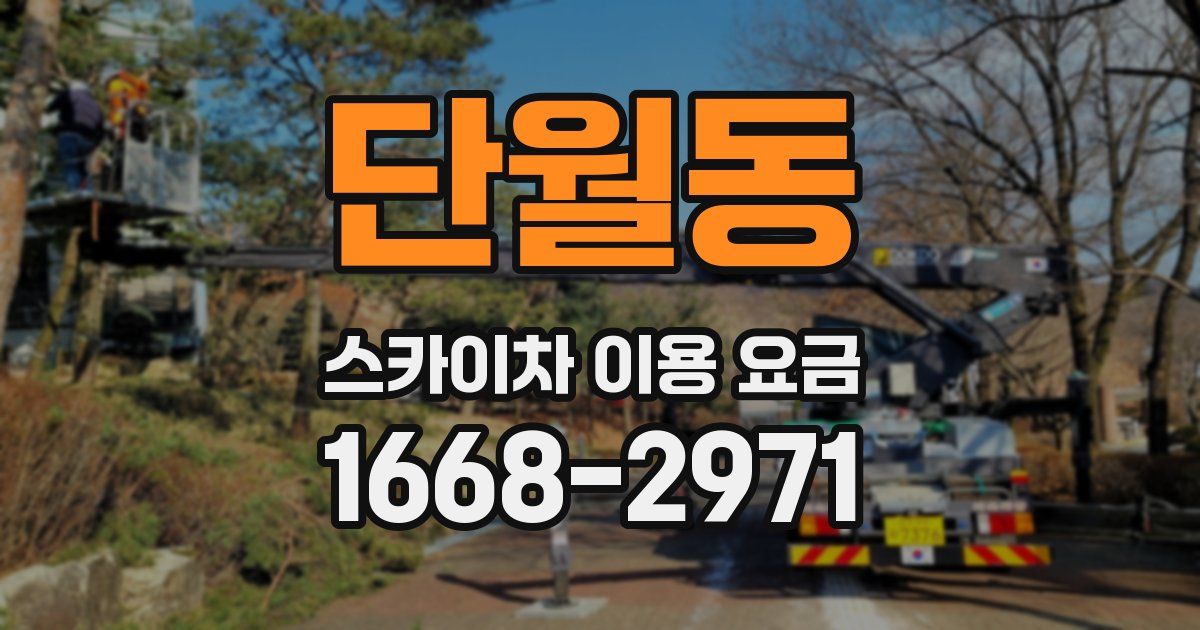 단월동 스카이차 이용 요금
