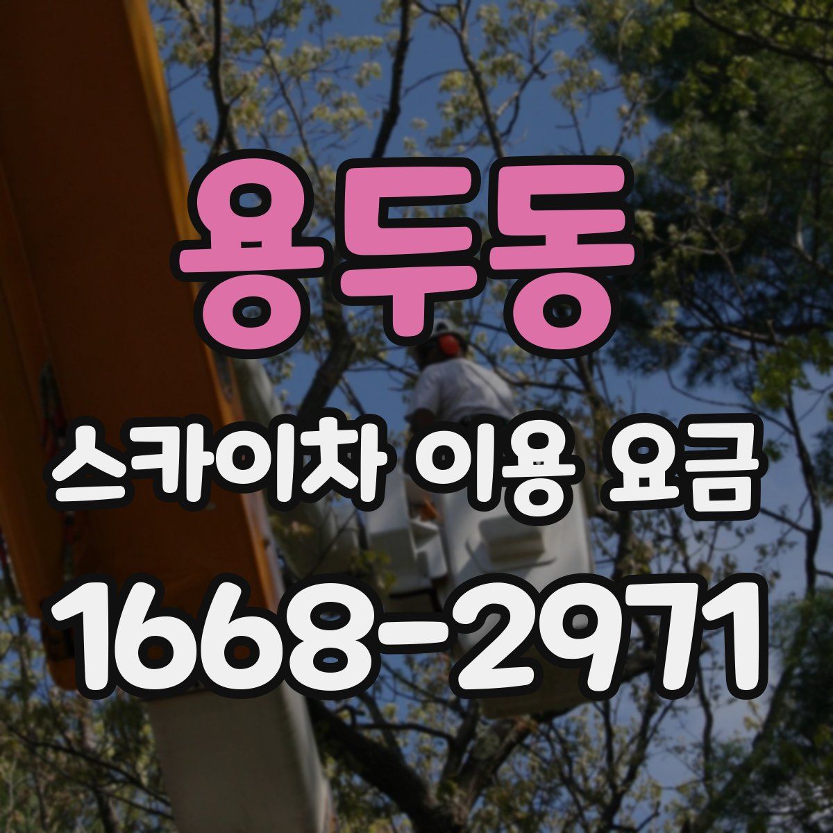 용두동 스카이차 이용 요금