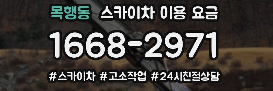 목행동 스카이차 이용 요금
