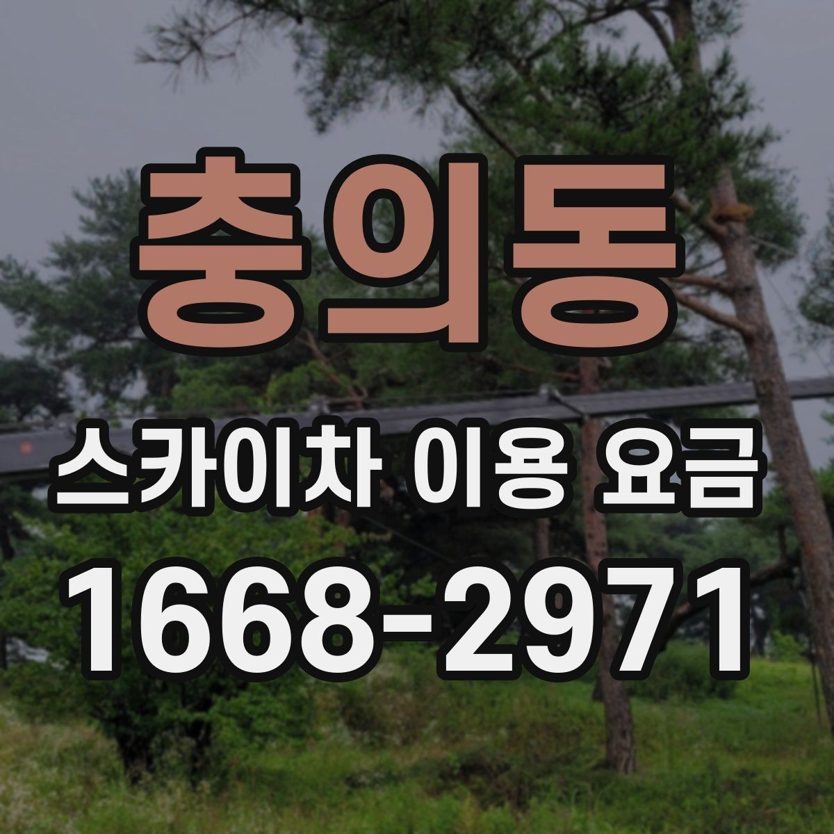 충의동 스카이차 이용 요금 알아보기 전에 체크할 작업 높이