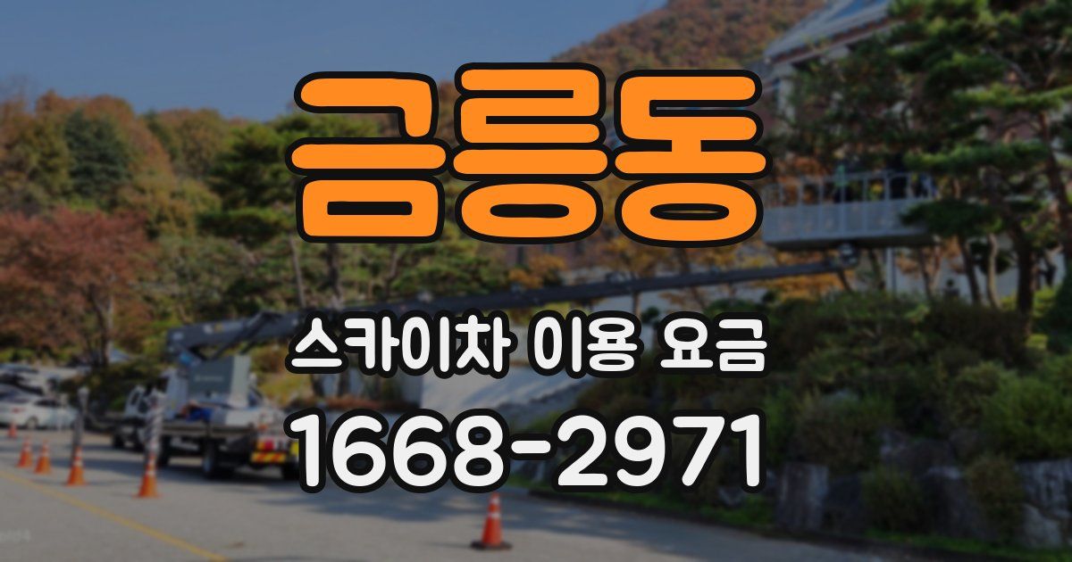 금릉동 스카이차 이용 요금