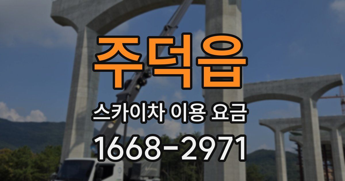 주덕읍 스카이차 이용 요금