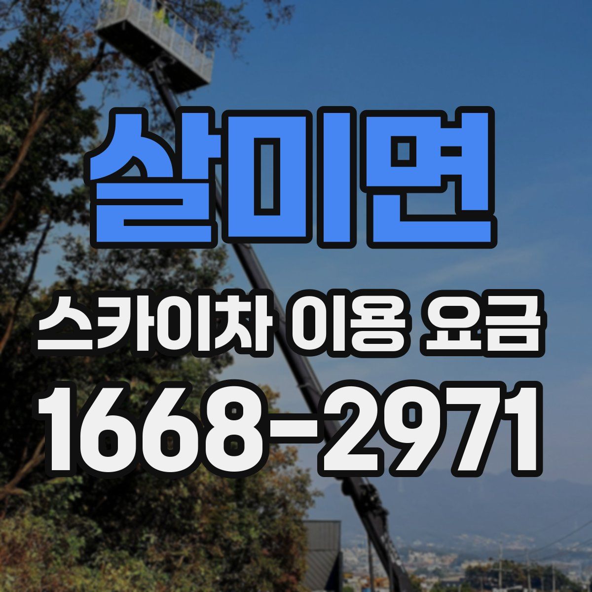 살미면 스카이차 이용 요금