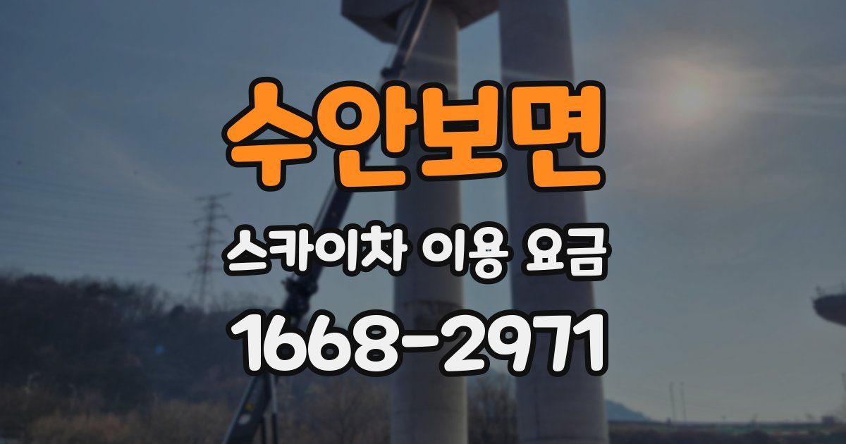 수안보면 스카이차 이용 요금