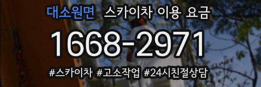 대소원면 스카이차 이용 요금