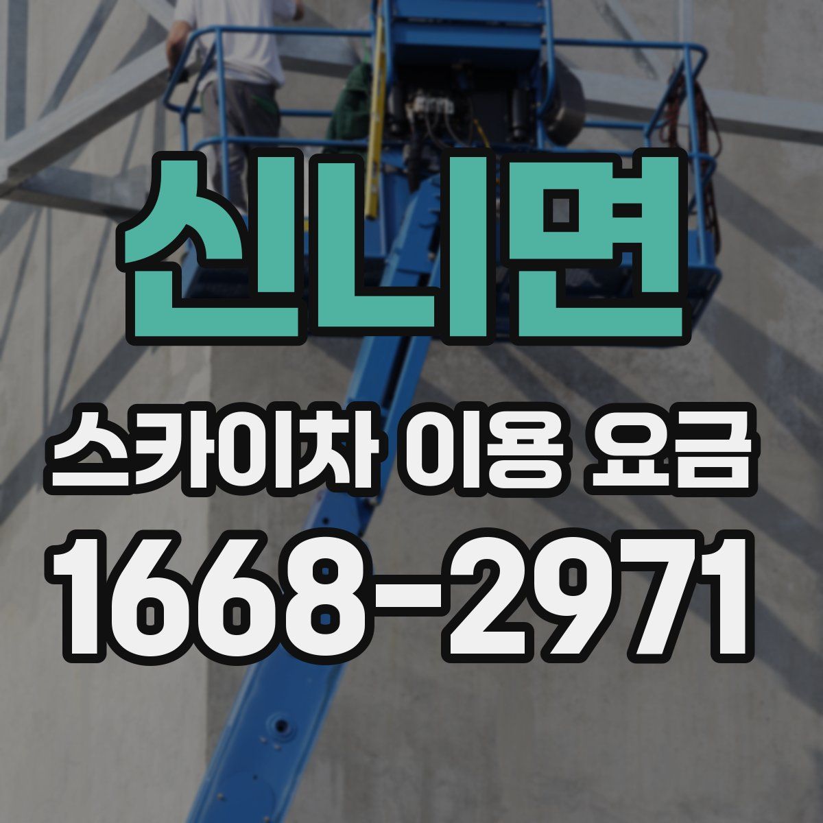 신니면 스카이차 이용 요금