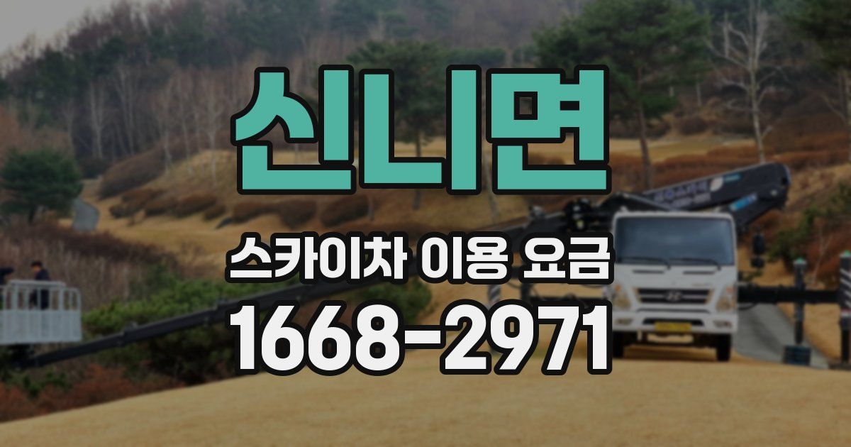 신니면 스카이차 이용 요금