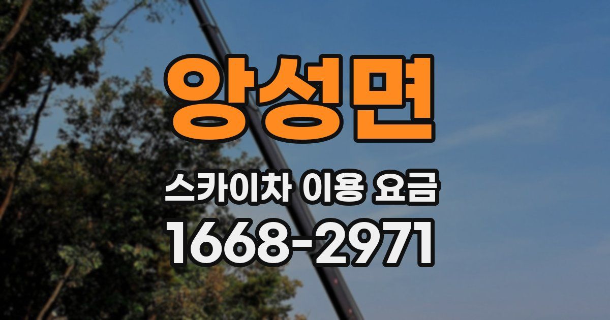 앙성면 스카이차 이용 요금