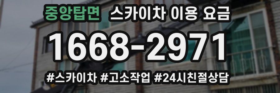 중앙탑면 스카이차 이용 요금