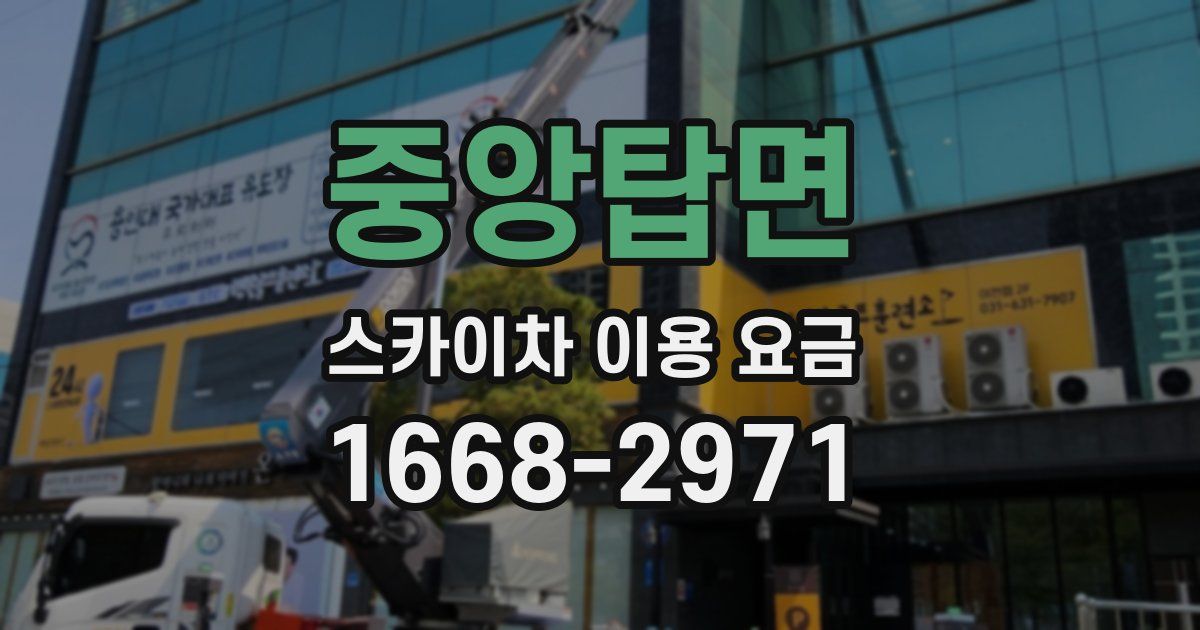 중앙탑면 스카이차 이용 요금
