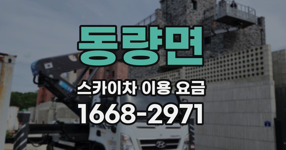 동량면 스카이차 이용 요금