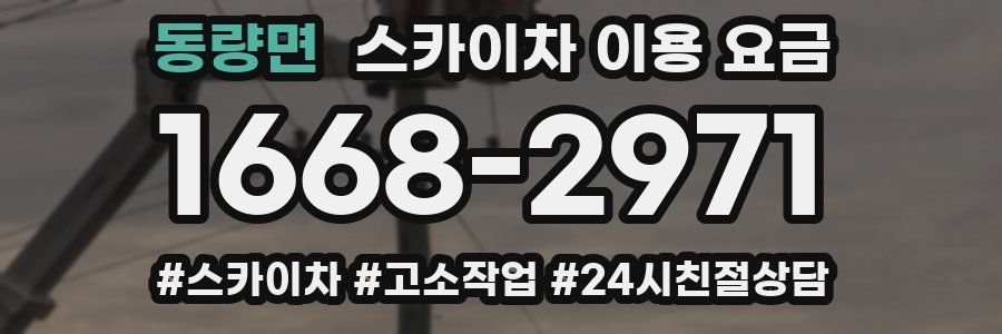 동량면 스카이차 이용 요금