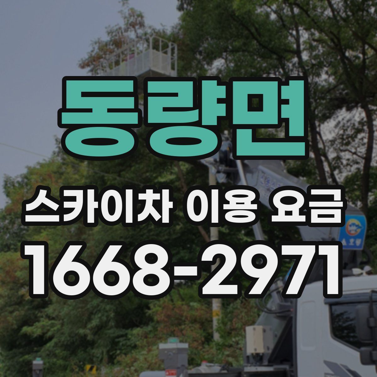 동량면 스카이차 이용 요금