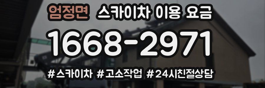 엄정면 스카이차 이용 요금