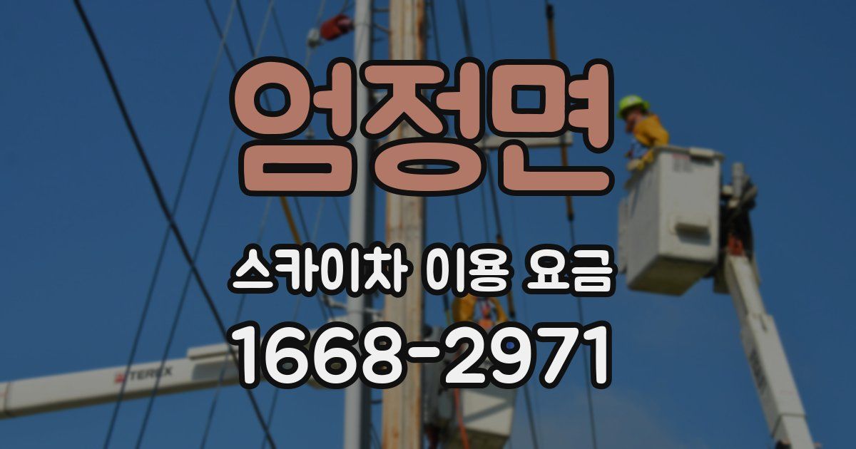 엄정면 스카이차 이용 요금
