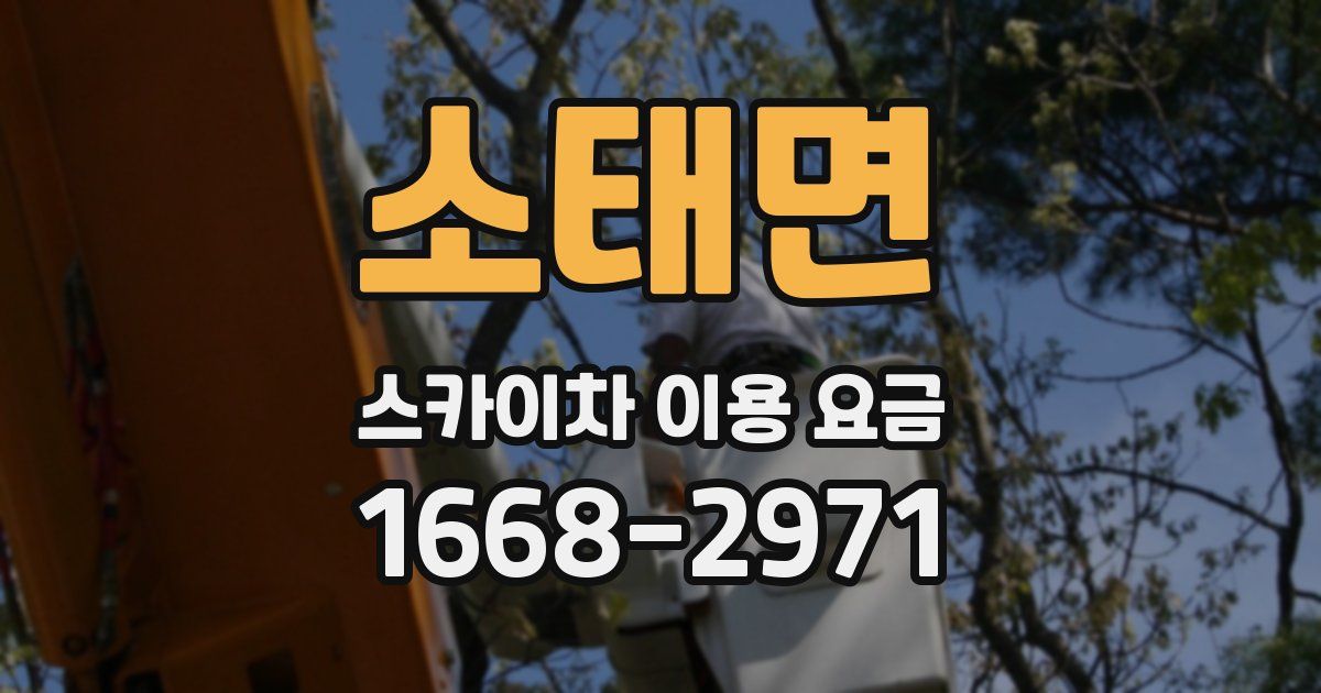 소태면 스카이차 이용 요금