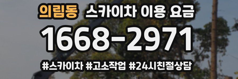 의림동 스카이차 이용 요금