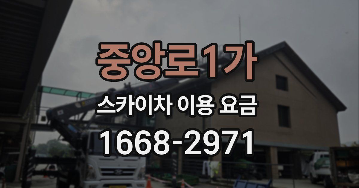 중앙로1가 스카이차 이용 요금