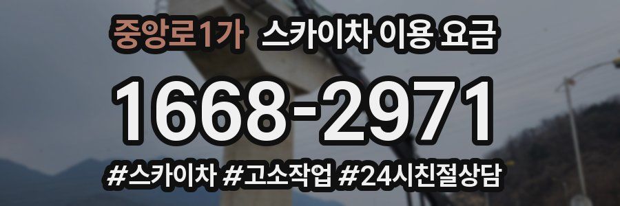 중앙로1가 스카이차 이용 요금