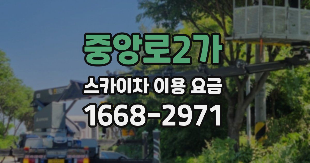 중앙로2가 스카이차 이용 요금